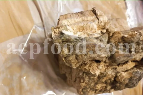 Buy Agarikon. Agarikon mushroom for sale. Agarikon Fomitopsis officinalis wholesale price. Mushroom Agarikon purchase. Bulk Agarikon fungus.