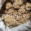 Traditional use of gum ammoniac in Persian medicine