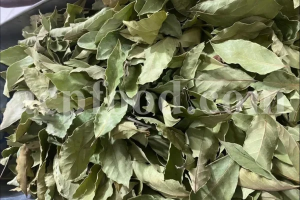 Buy Bay leaves. Bay Leaves for sale. Bay Leaves wholesale price. Bay Laurel for sale. Organic Bay Leaves bulk. Buy Bay Laurel.