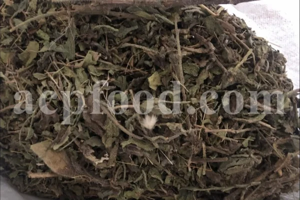 Bulk Echium amoenum for Sale. Buy Persian Borage. Buy Iranian Bugloss with the Best Price. Gol Gav Zaban wholesale price. Bulk Echium amoenum Red Feathers. Borage leaves for sale.