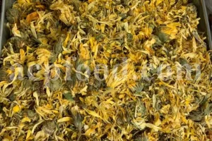 Buy Calendula. Calendula for sale. Bulk dried Calendula petals. Dried Marigold wholesale price. Calendula flowers dried bulk. Calendula officinalis price. Calendula officinalis orange king for sale.