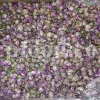 The best quality Rosa damascena buds for sale. Damascena Rose wholesale price. Buy Damascina Rose. Bulk Rosa Damask buds and petals. Wholesale R Damascena. Damask Rose purchase.