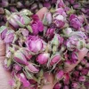 The best quality Rosa damascena buds for sale. Damascena Rose wholesale price. Buy Damascina Rose. Bulk Rosa Damask buds and petals. Wholesale R Damascena. Damask Rose purchase.
