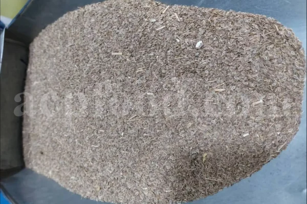 Dried Dill for sale. Buy dried Dill. Dried Dill weed wholesale price. Air dry Dill purchase. Best dried Dill weed. Dill seed for sale. Buy Dill seeds.