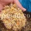 Buy Calendula. Calendula for sale. Bulk dried Calendula petals. Dried Marigold wholesale price. Calendula flowers dried bulk. Calendula officinalis price. Calendula officinalis orange king for sale.