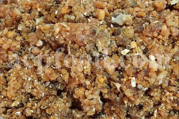 Bulk Galbanum resin for sale. Galbanum gum wholesale price. Galbanum price. Ferula galbaniflua gum in bulk. Ferula gummosa gum for sale.