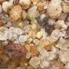 High Quality Bulk Persian Gum for sale. Gum Zedo wholesale price. Buy Zedo Gum. Cerasus avium gum for sale. Bulk Cerasus vulgaris gum. Cerasus mahleb gum wholesale price.