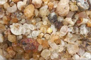 High Quality Bulk Persian Gum for sale. Gum Zedo wholesale price. Buy Zedo Gum. Cerasus avium gum for sale. Bulk Cerasus vulgaris gum. Cerasus mahleb gum wholesale price.