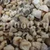 Pile of ammoniacum gum with varied colors