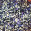 High quality dried Marshmallow flowers for sale. Buy Althaea officinalis dried flowers. Hollyhocks for sale. Buy Common Hollyhock dried flowers. Marshmallow seeds for sale. Buy Hollyhocks seeds.