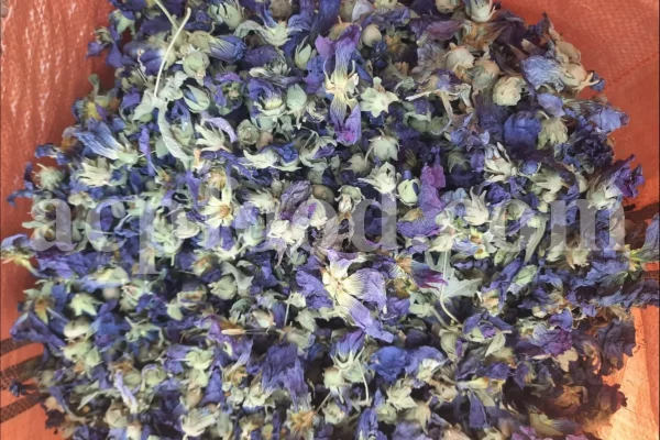 High quality dried Marshmallow flowers for sale. Buy Althaea officinalis dried flowers. Hollyhocks for sale. Buy Common Hollyhock dried flowers. Marshmallow seeds for sale. Buy Hollyhocks seeds.
