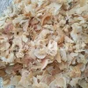 Buy Gum Tragacanth. Tragacanth Gum price. Buy Gond Katira. Katira price. Katila Gum wholesale price. Astragalus gummifer gum for sale. Astragalus gum purchase.