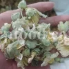 High quality dried Marshmallow flowers for sale. Buy Althaea officinalis dried flowers. Hollyhocks for sale. Buy Common Hollyhock dried flowers. Marshmallow seeds for sale. Buy Hollyhocks seeds.