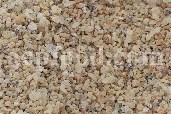 Mastic tree gum. Mastic gum for sale. Mastic gum bulk. Buy mastic gum. Pistacia terebinthus resin for sale.