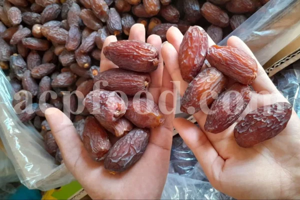 High quality Dates for sale. Buy Dates. Bulk Dates. Dry Dates wholesale price. Phoenix dactylifera fruit. Phoenix palm fruit. Dabino fruit for sale. Buy Hearts of Palm. Dry Dates 1kg price.
