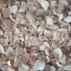 Clean and peeled Moosir bulbs before drying