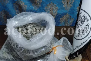 Bulk Black Fasoukh for sale. Black Fasoukh Wholesaler, Supplier, Exporter and Provider. Buy high quality Picea Orientalis tree resin with the best price.