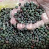 High Quality Pistacia atlantica for sale. Pistacia terebinthus seeds. Pistacia atlantica seeds. Buy Atlantic Pistachio. Pistacia khinjuk wholesale price. Buy Terebinth seeds. Bulk wild pistachios.