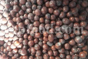 Buy Chinese Red Dates. Buy dried Jujube. Chinese Red Dates where to buy. Bulk dried Jujube. Chinese Red Dates near me. red dates here to buy.