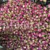 Venta de capullos y pétalos de rosa de Damasco aromáticos de alta calidad. Mayorista, proveedor, exportador y proveedor de capullos y pétalos de Rosa damascena a granel.