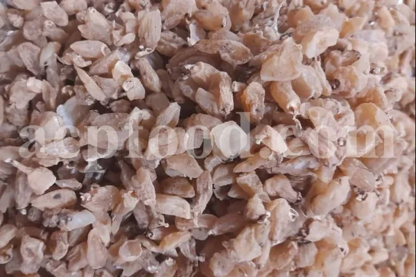 Salep for sale. Buy pure Sahlep. Orchis mascula for sale. Orchis maculata wholesale price. Early Purple Orchid for sale.