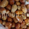 Russian Olives for sale. Elaeagnus angustifolia for sale. Buy Russian Olive. Buy Senjed. Bulk dried Oleaster for sale.