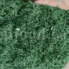 Dried Dill for sale. Buy dried Dill. Dried Dill weed wholesale price. Air dry Dill purchase. Best dried Dill weed. Dill seed for sale. Buy Dill seeds.