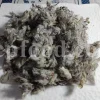 Bulk Stachys lavandulifolia for sale. Buy Pink Cotton Lamb’s Ear. Buy High Quality Stachys with the Best Price.