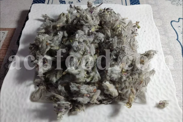 Bulk Stachys lavandulifolia for sale. Buy Pink Cotton Lamb’s Ear. Buy High Quality Stachys with the Best Price.