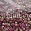The best quality Rosa damascena buds for sale. Damascena Rose wholesale price. Buy Damascina Rose. Bulk Rosa Damask buds and petals. Wholesale R Damascena. Damask Rose purchase.