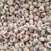 Different grades of Iranian dried figs sorted by size