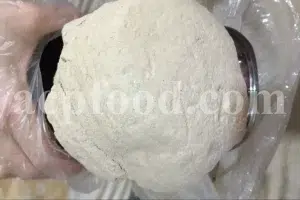 Buy Agarikon. Agarikon mushroom for sale. Agarikon Fomitopsis officinalis wholesale price. Mushroom Agarikon purchase. Bulk Agarikon fungus.