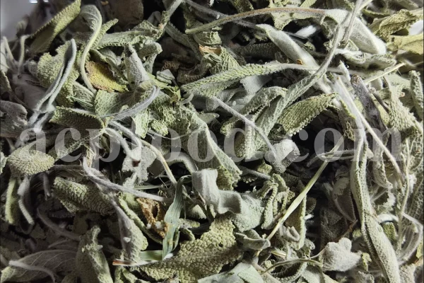 Buy sage dried leaves. Sage leaves for sale. Bulk dried sage leaves. Sage purchase. Dried sage leaves for burning.