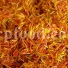 buy safflower