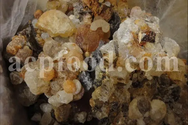 High Quality Bulk Persian Gum for sale. Gum Zedo wholesale price. Buy Zedo Gum. Cerasus avium gum for sale. Bulk Cerasus vulgaris gum. Cerasus mahleb gum wholesale price.