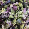 High quality dried Marshmallow flowers for sale. Buy Althaea officinalis dried flowers. Hollyhocks for sale. Buy Common Hollyhock dried flowers. Marshmallow seeds for sale. Buy Hollyhocks seeds.