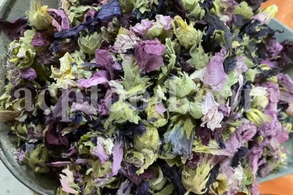 High quality dried Marshmallow flowers for sale. Buy Althaea officinalis dried flowers. Hollyhocks for sale. Buy Common Hollyhock dried flowers. Marshmallow seeds for sale. Buy Hollyhocks seeds.