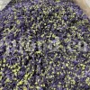 Dried Blue Mallow for sale. Buy dried Blue Mallow flowers. Buy Mallow. Mallow Buy. Bulk Malva sylvestris zebrina flowers. Mallow Malva sylvestris zebrina wholesale price. Mallow sylvestris flowers purchase. Bulk malva seed. Malva sylvestris seed for sale.