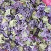 High quality dried Marshmallow flowers for sale. Buy Althaea officinalis dried flowers. Hollyhocks for sale. Buy Common Hollyhock dried flowers. Marshmallow seeds for sale. Buy Hollyhocks seeds.