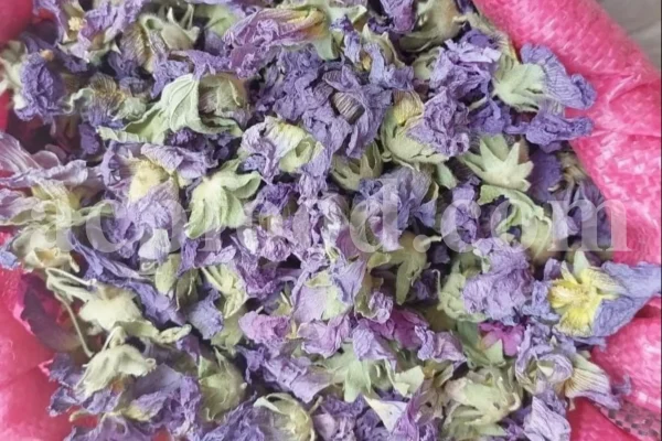 High quality dried Marshmallow flowers for sale. Buy Althaea officinalis dried flowers. Hollyhocks for sale. Buy Common Hollyhock dried flowers. Marshmallow seeds for sale. Buy Hollyhocks seeds.