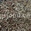 High Quality Yellow Sweet Clover dried fruits for sale. Buy dried Sweet Clover. Bulk Melilotus officinalis. Common Melilot dried fruits purchase.
