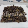 Assyrian Plum for sale. Buy Sebastian Plum. Bulk Cordia myxa. Cordia myxa for sale. Cordia fruit wholesale price. Sapistan fruit in bulk. Dried Sapistan for sale.