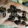 Assyrian Plum for sale. Buy Sebastian Plum. Bulk Cordia myxa. Cordia myxa for sale. Cordia fruit wholesale price. Sapistan fruit in bulk. Dried Sapistan for sale.