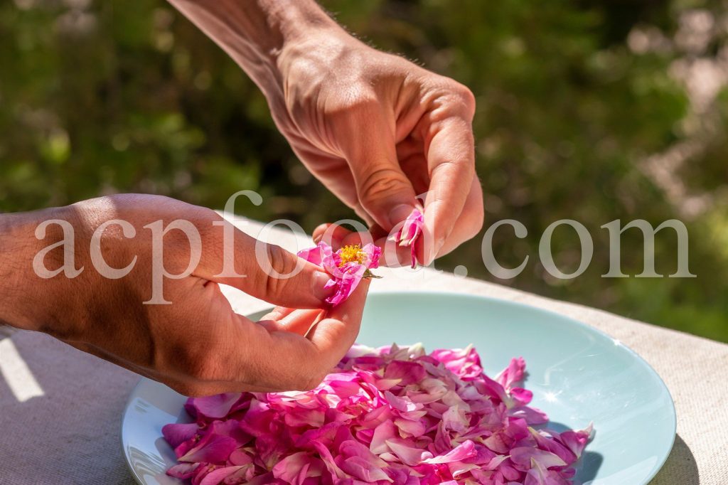 Damask Rose Jam