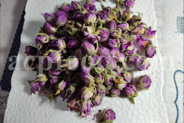 The best quality Rosa damascena buds for sale. Damascena Rose wholesale price. Buy Damascina Rose. Bulk Rosa Damask buds and petals. Wholesale R Damascena. Damask Rose purchase.