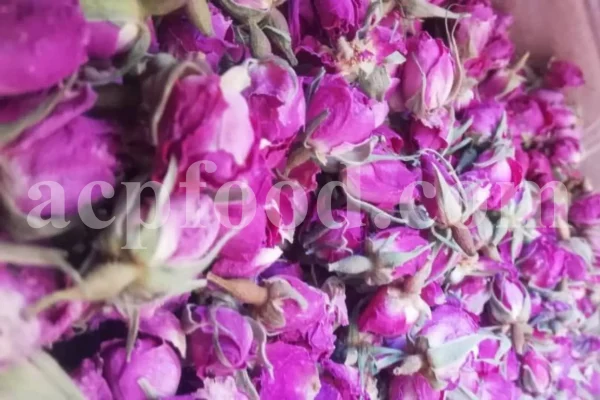 The best quality Rosa damascena buds for sale. Damascena Rose wholesale price. Buy Damascina Rose. Bulk Rosa Damask buds and petals. Wholesale R Damascena. Damask Rose purchase.
