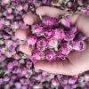The best quality Rosa damascena buds for sale. Damascena Rose wholesale price. Buy Damascina Rose. Bulk Rosa Damask buds and petals. Wholesale R Damascena. Damask Rose purchase.