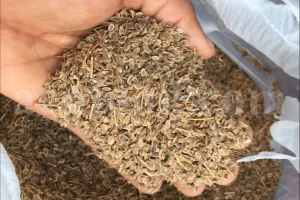 Dried Dill for sale. Buy dried Dill. Dried Dill weed wholesale price. Air dry Dill purchase. Best dried Dill weed. Dill seed for sale. Buy Dill seeds.