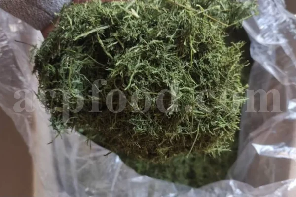 Dried Dill for sale. Buy dried Dill. Dried Dill weed wholesale price. Air dry Dill purchase. Best dried Dill weed. Dill seed for sale. Buy Dill seeds.