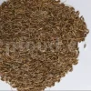 Dried Dill for sale. Buy dried Dill. Dried Dill weed wholesale price. Air dry Dill purchase. Best dried Dill weed. Dill seed for sale. Buy Dill seeds.